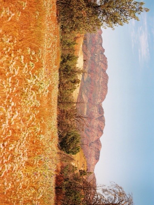 Nature 01