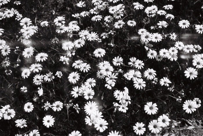 Nature 03